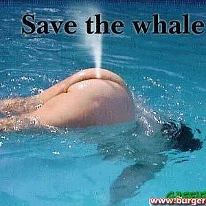 save the whale !