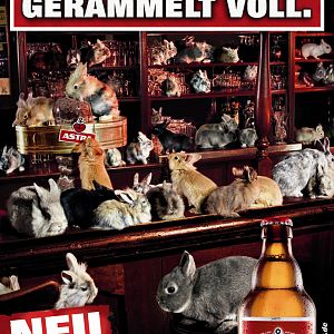 Astra gerammelt voll